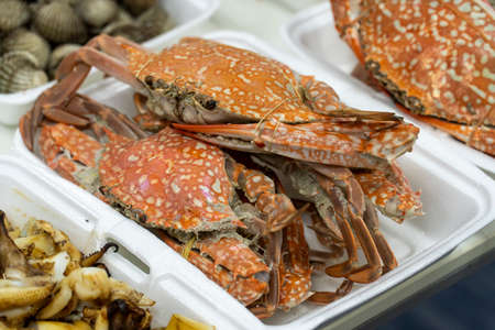 Hot steamed blue swimming crab on a foam dish on the table background.の写真素材