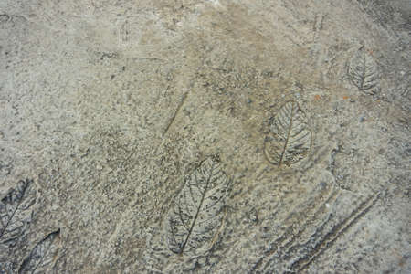 Push the elevator button 11thの写真素材