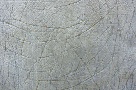Cement wall white background or concrete texture.の写真素材