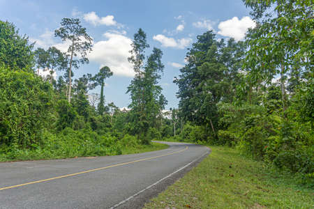 The road into the green tropical forest

daytimeの写真素材