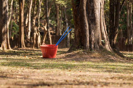 Red bins placed in the gardenの写真素材