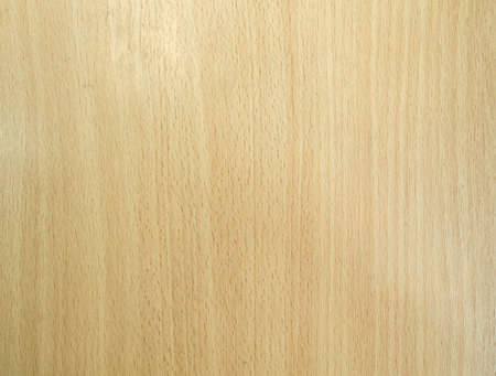 Light color Wooden the backgroundの写真素材