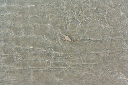 Clear water in Trad Province of Thailand