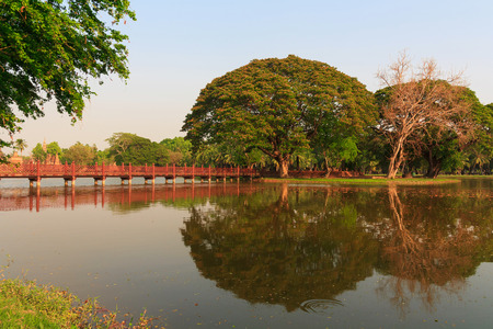 lake in the park verdantの写真素材