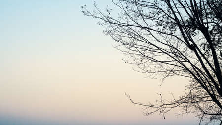 The morning atmosphere on the Mountainの写真素材