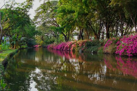 The canal in the parkの写真素材