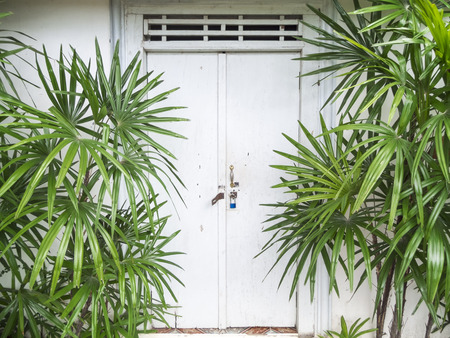 The wooden door Vintage Style of Thailandの写真素材