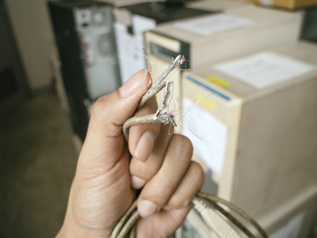 The cord is damaged because it isbittenの写真素材