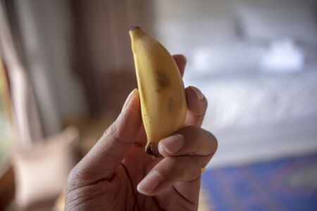 Cultivated Banana , Fruit and Vegetable in Thailandの写真素材