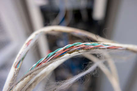 The cable was damaged due to a rat bite.の写真素材