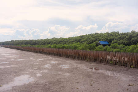 wooden sea retaining wall of Thailandの写真素材