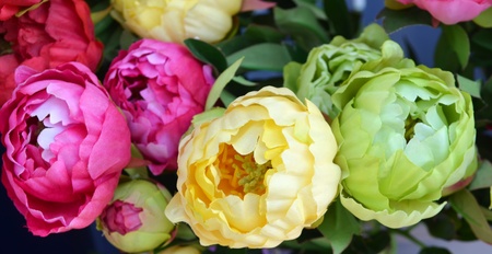 The background of the beautiful flowers in colorful