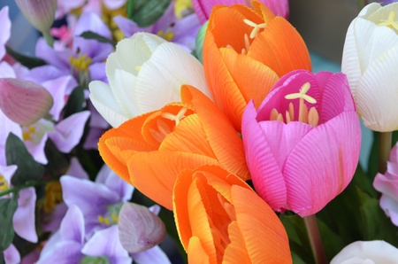 The background of the beautiful flowers in colorfulの写真素材