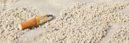 Cigarette butt in sand. Litter on the beachの写真素材