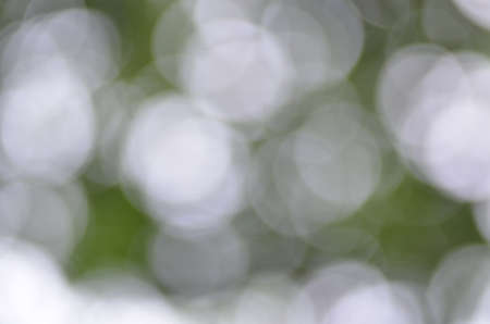 green bokeh abstract light background