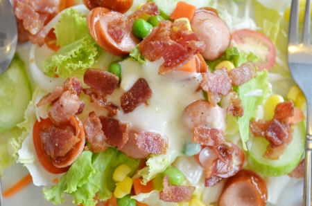 Saladの写真素材