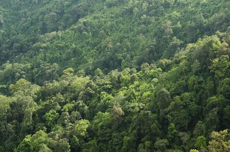 mountain and cloud in Kanchanaburi, khao chang peuk,thailandの写真素材