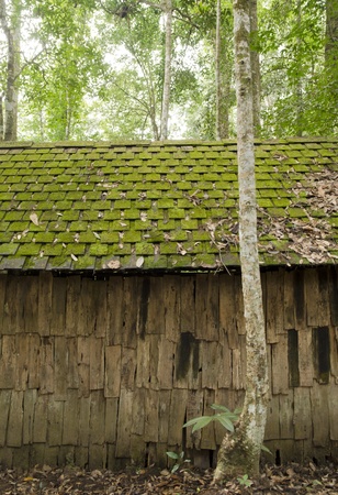 Old cottage, old wooden house, with moss among treesの写真素材