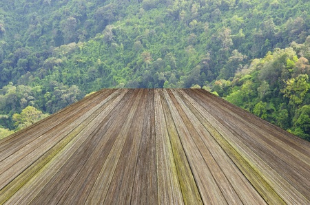 wood textured backgrounds in a room interior on the forest mountain backgroundsの写真素材
