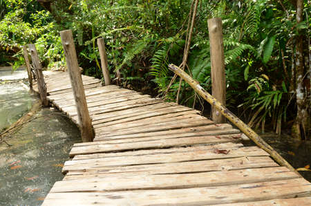 Wood path way among the Mangrove forest, Thailand