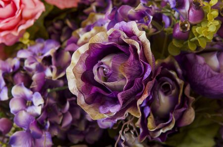 Abstract background of flowers. Close-up.の写真素材