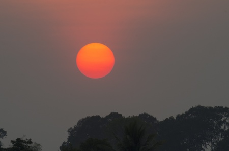 beautiful sunset over treeの写真素材