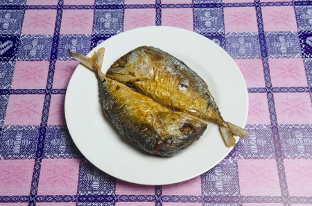 Mackerel fishの写真素材