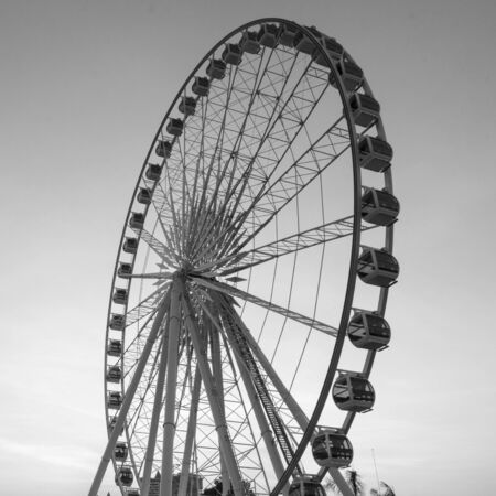 Beautiful large Ferris wheel in black and whiteの写真素材