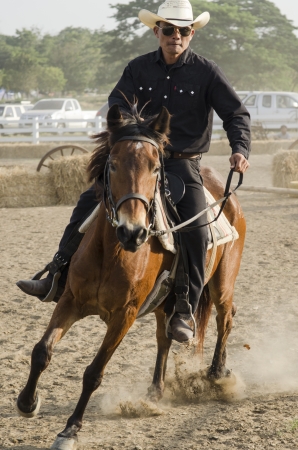 Nakhon Pathom Thailand-December 5 Equestrian Competition In Rececourse On December 5, 2013 in Nakhon Pathom  Images of athletes training ridesのeditorial素材
