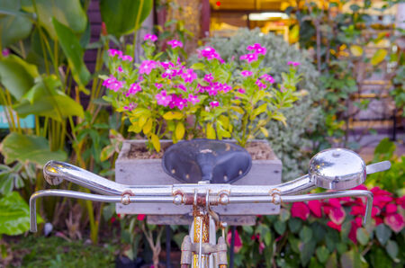 Old bicycle and flowers in colorfulの写真素材