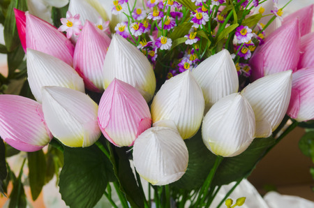 Colorful flowers for your loved ones on Valentine's Day.の写真素材