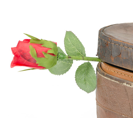 Photos of red roses for Valentine's Day, isolated on whiteの写真素材