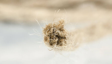 Marine rope background ( texture )