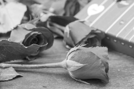 Pictures of roses and gifts for Valentine's Day.の写真素材