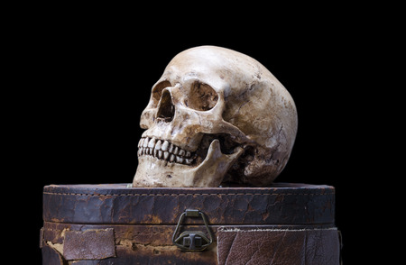 Still life with Side view of human skull on a black の写真素材