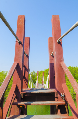 Bridge to Nature with blue skyの写真素材