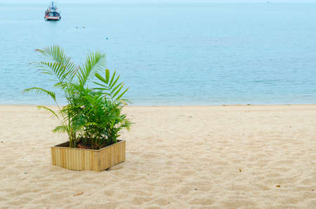 Flower vase decorationの写真素材