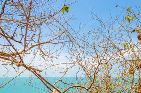 beach on tropical island, Koh Payam, Ranong, Thailandの写真素材