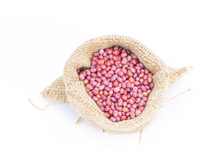 Beans - red isolated on whiteの写真素材