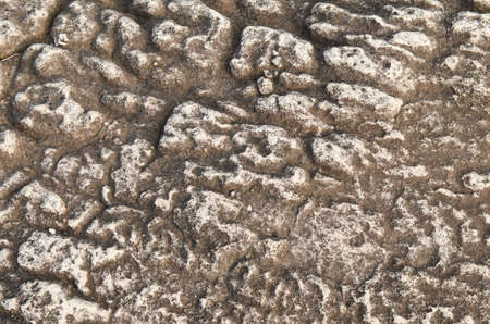 stone floor  background, natural siteの写真素材