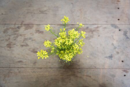 vintage flower on dining tableの写真素材