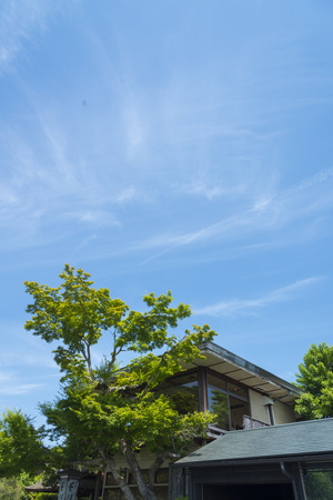 Green maple trees and Japanese-style house in the Japanese garden of Ginkakuji Temple.のeditorial素材