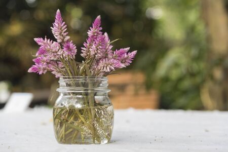 vintage flower on dining tableの写真素材