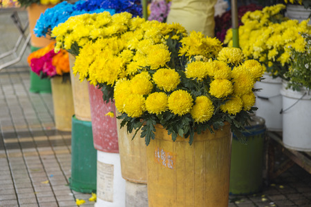 the tropical plants and flowerの写真素材