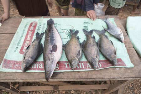 Stalls selling fish in Laosのeditorial素材