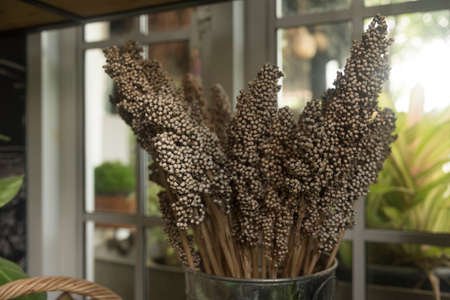 Coffee shop decorated with dried flowersの写真素材