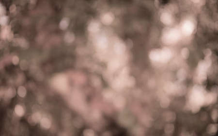 abstract bokeh background
