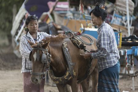 MANDALAY 2 November 2015, tourists hire horse carriage for ancient city tour in Ava, The Ava Kingdom was the dominant kingdom that ruled upper Burma (Myanmar) from 1364 to 1555.のeditorial素材