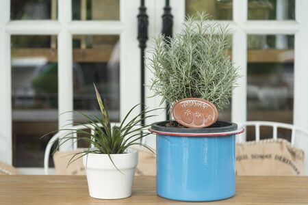 Coffee shop decorated with dried flowersの写真素材