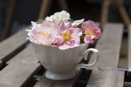 flower on tableの写真素材